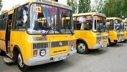 Белгородские власти сообщили о закупке около 250 новых школьных автобусов в регионе