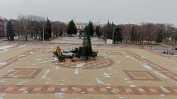 Работы по установке новогодней ёлки стартовали на площади Красной в  Валуйках Белгородской области