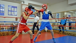 Межрайонный турнир по боксу завершился в Валуйках